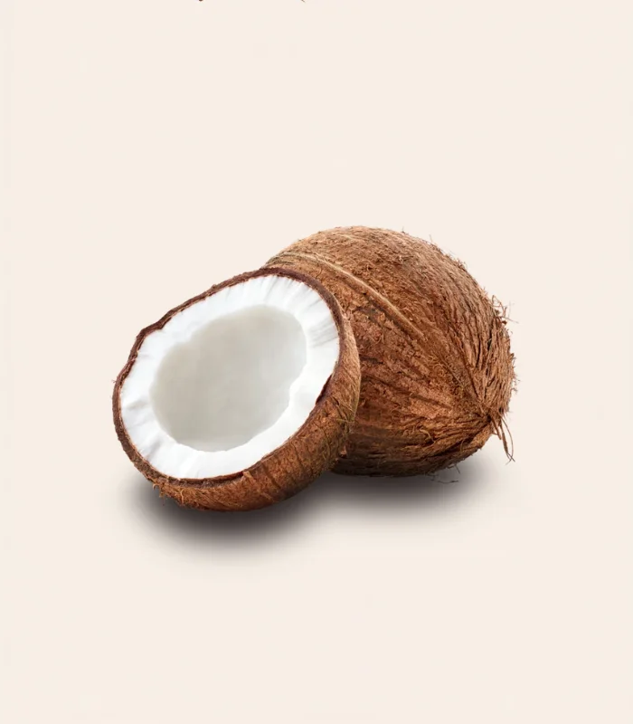coconut (1) (1)
