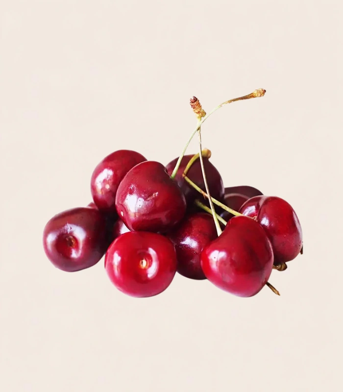 AMERICAN CHEERY