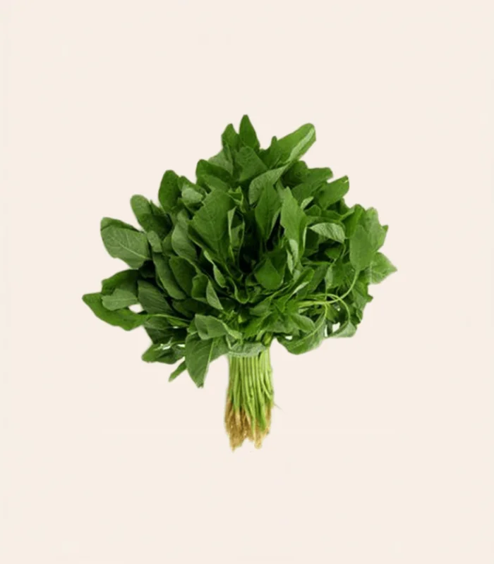 AMARANTHGUS GREEN