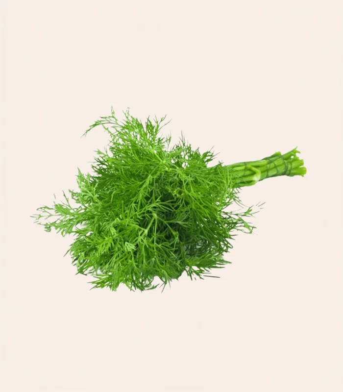 DILL LEAVES