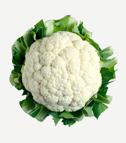 Buy Organic Vegetables Online in Bengaluru