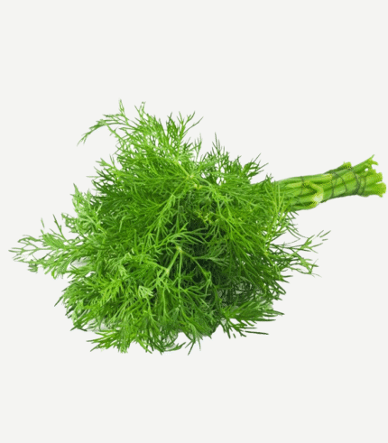 Buy Fresh Dill Leaves (Sowa / Soya Saag) Online in Bengaluru
