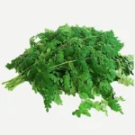 Order Fresh Drumstick Leaves (Murungai Keerai) Online in Bengaluru