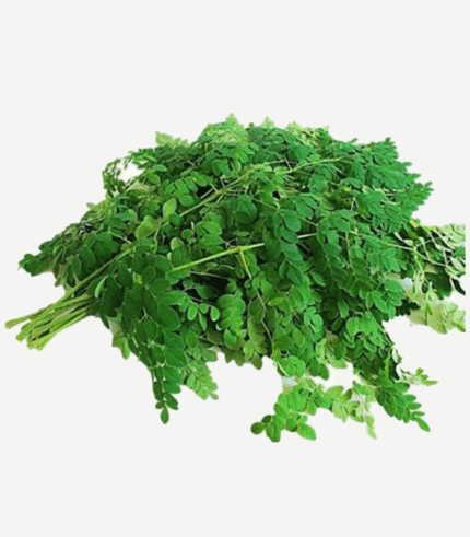 Order Fresh Drumstick Leaves (Murungai Keerai) Online in Bengaluru