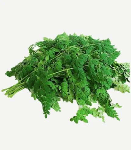 Order Fresh Drumstick Leaves (Murungai Keerai) Online in Bengaluru