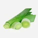 Buy Leek Green Onions Online in Bengaluru