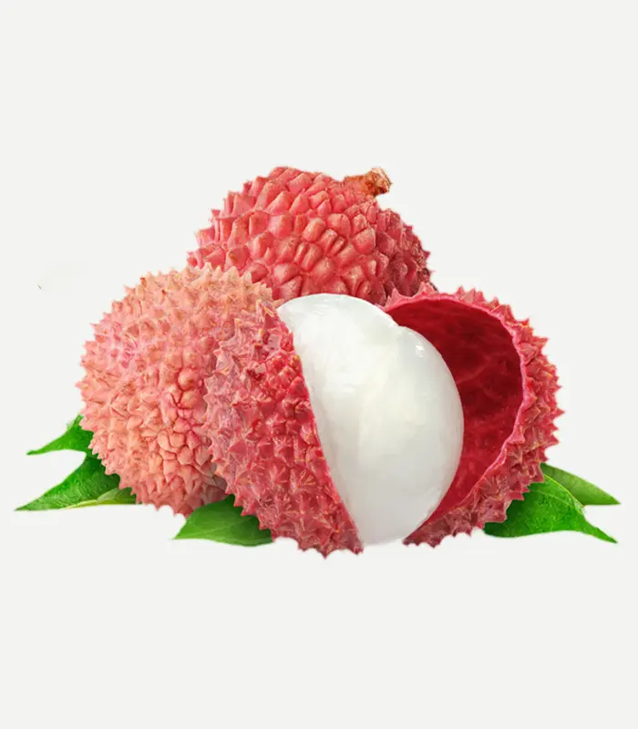 Lychee-WS-1WP