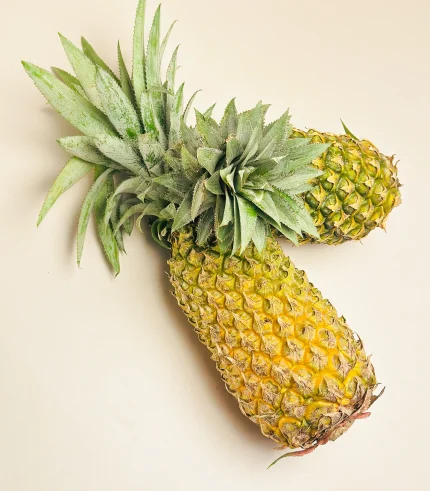 PINEAPPLE-Ananas