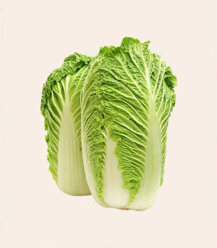 Chinese Cabbage-Chinese Patta Gobhi