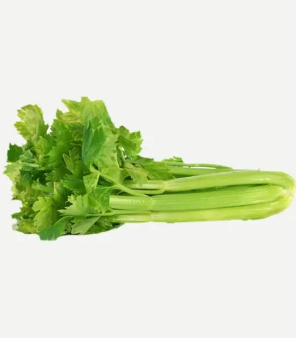 Celery