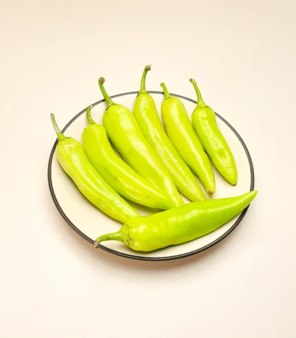 Picador Green -Bajji Chilli