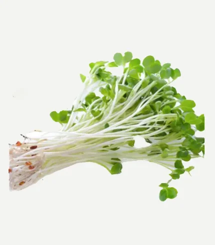 Sprouts