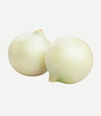 Onion-White
