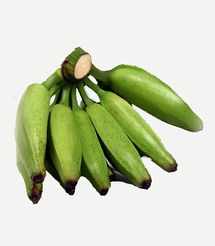 Raw Banana-WS-1WP