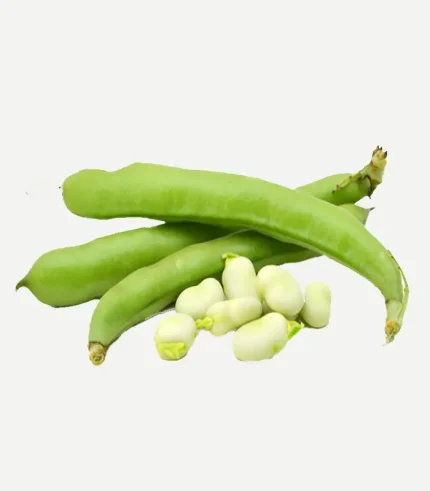 Flat Beans
