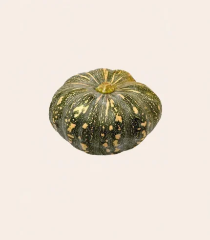 Pumpkin-Kaddu (Whole)