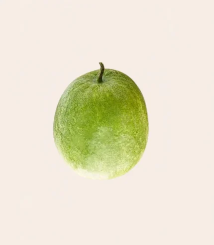 Ash Gourd-Petha (Whole)