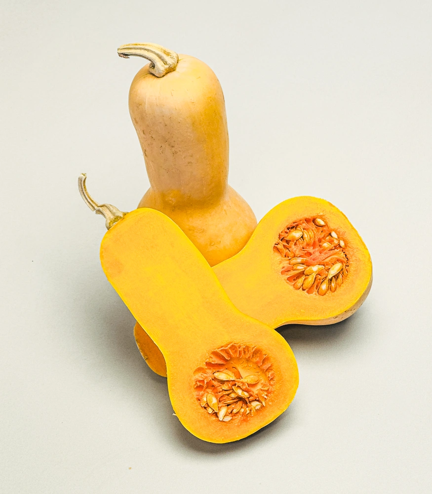 BUTTERNUT 4-1