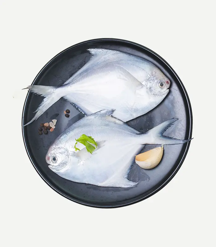 Fresh White Pomfret Fish Online in Bengaluru