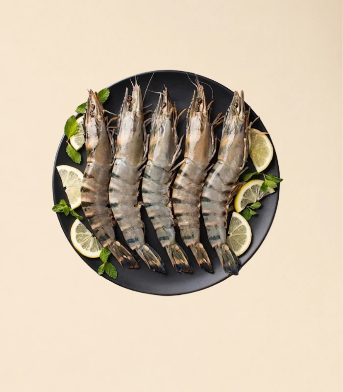Tiger Prawns With Tail Large