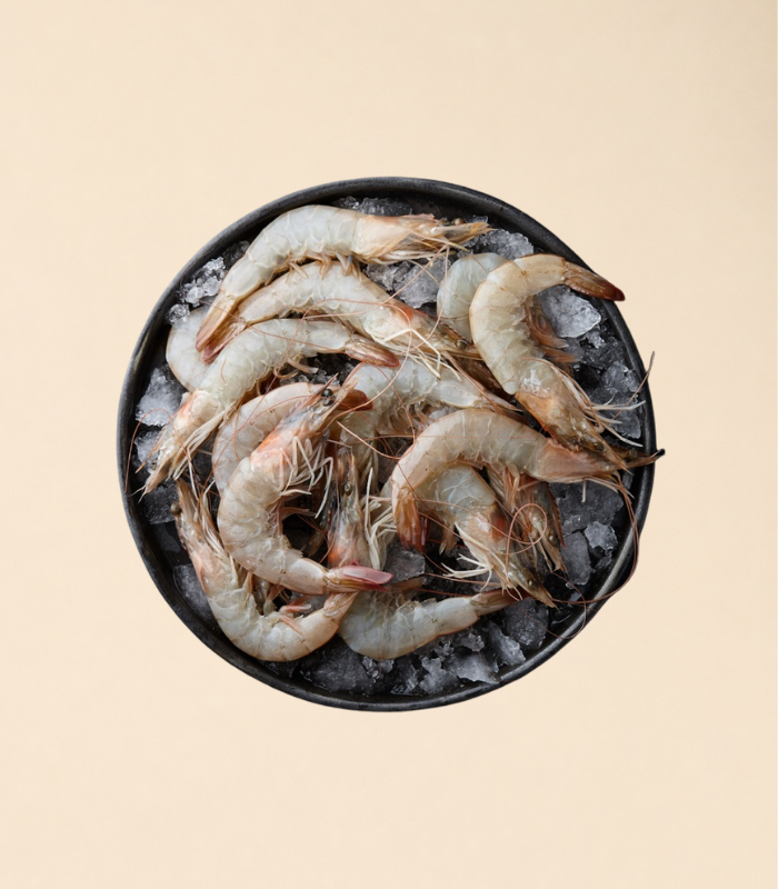 Sea Water Prawns Large