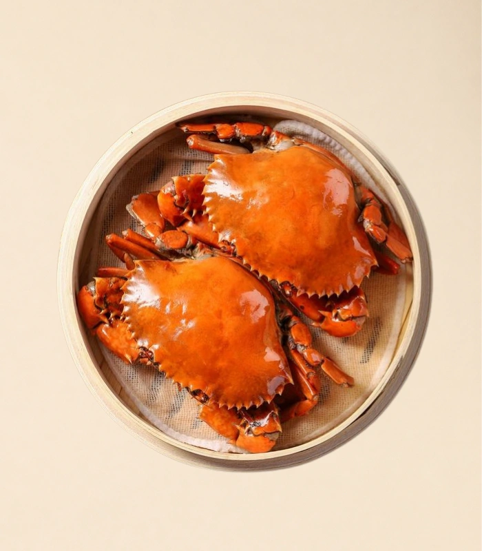 mud crab