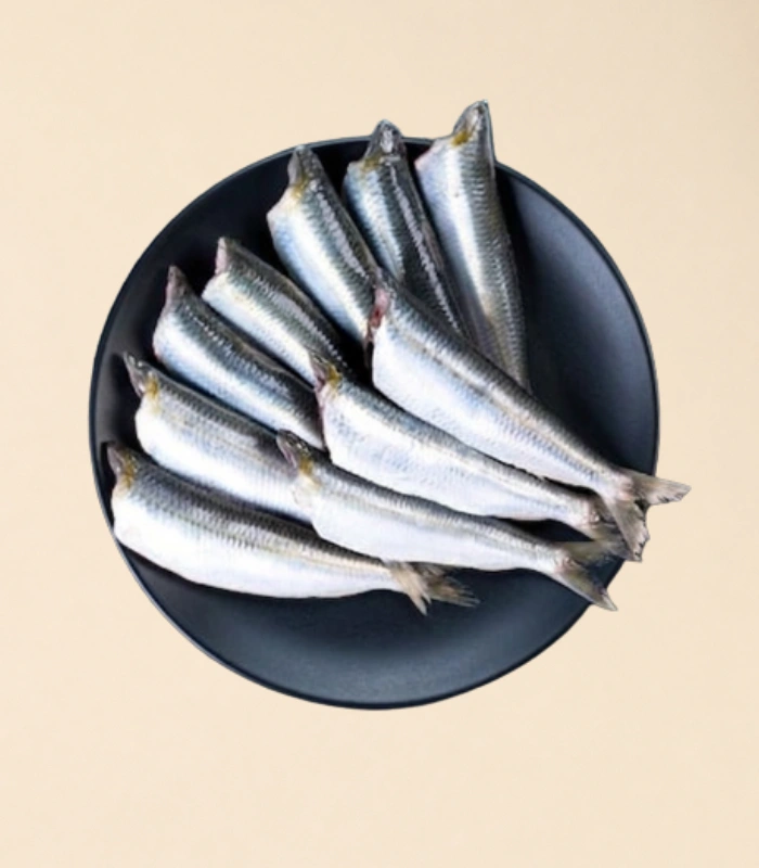 White Sardine Whole Cleaned