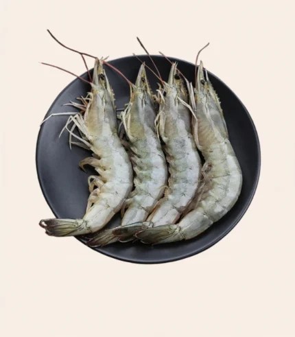 Sea White Prawns Medium Sized Cleaned