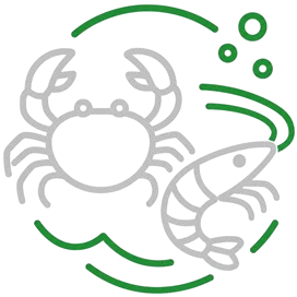 crab icon W